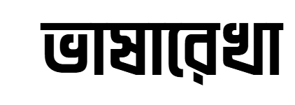 font for social media content